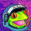Space Frog paint by numbers