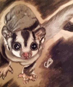 Sugar Glider Art paint by numbers