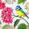 Aesthetic Bird With Hydrangea paint by numbers