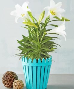 Potted White Easter Lilies paint by number p