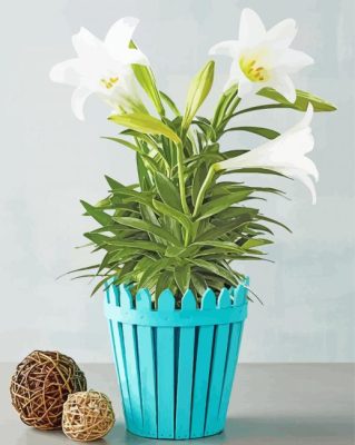 Potted White Easter Lilies paint by number p