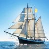 Schooner White Ship paint by number p