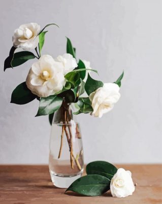 Vase With White Camellia Flowers paint by numbers