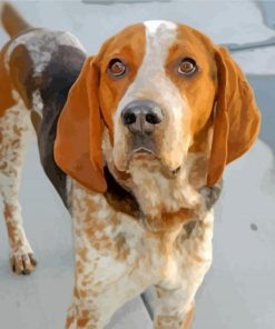 American English Coonhound paint by numbers
