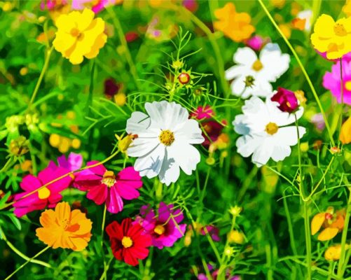 Beautiful Wild Flower Meadow paint by number