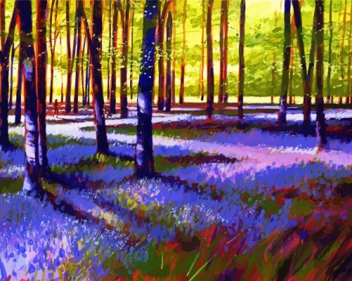 Bluebell Wood paint by numbers