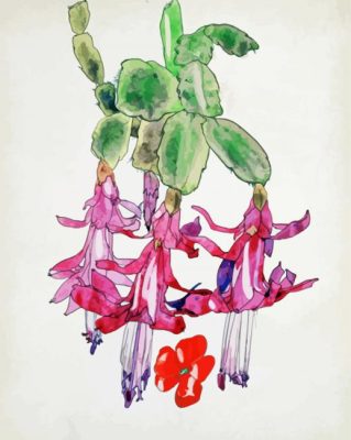Cactus Flower paint by numbers