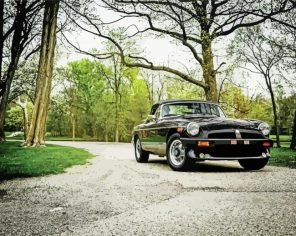 Classic Black MGB paint by numbers