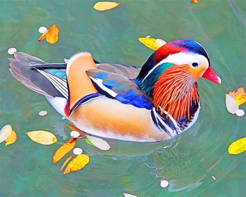 Mandarin Duck paint by number