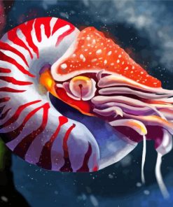 Nautilus Animal Art paint by numbers