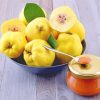 Quinces Fruits paint by numbers