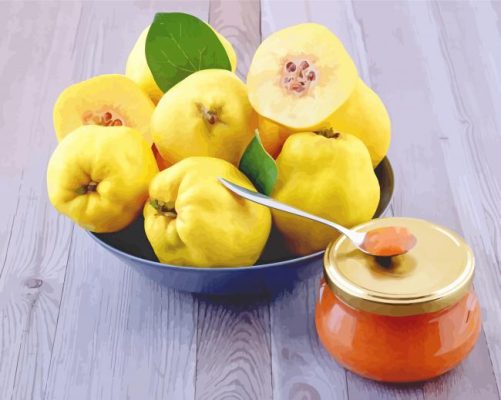 Quinces Fruits paint by numbers