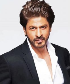 Shahrukh khan paint by numbers