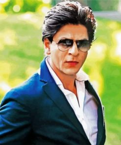 The Indian Actor Shahrukh paint by numbers