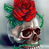 Skull And Rose Flower Art paint by numbers