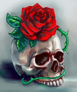 Skull And Rose Flower Art paint by numbers