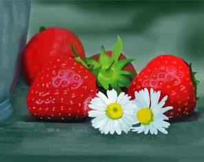 Strawberries And Daisies paint by numbers