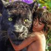 The Jungle Book Characters paint by numbers