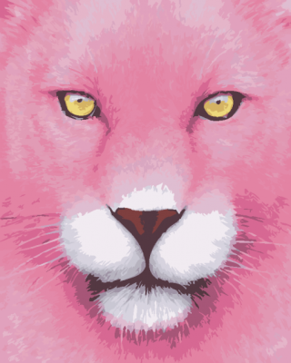 Pink Panther paint by number