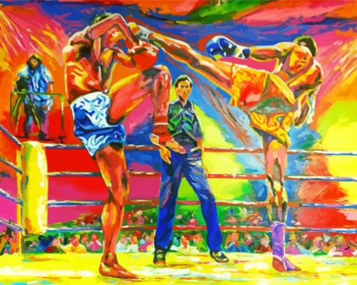 Abstract Muay Thai paint by numbers