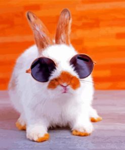 Baby Rabbit paint by numbers