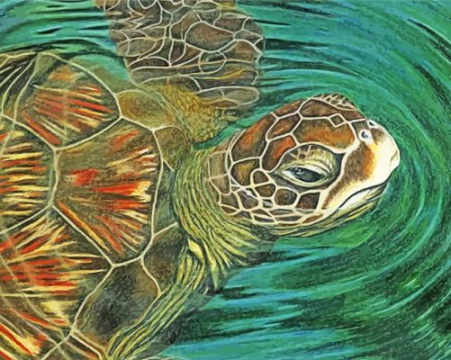 Aesthetic Galapagos Seaturtle paint by numbers