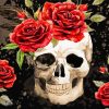 Aesthetic Skull And Roses paint by numbers