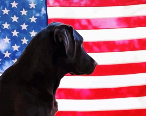 Black Lab Dog With Flag paint by numbers