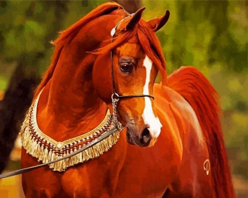 Brown Arabian Horse paint by numbers