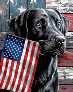 Cool Black Lab With Flag paint by numbers