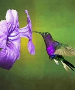 Flying Purple Hummingbird And Flower paint by numbers