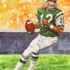 Joe Namath Jets Football Player paint by numbers