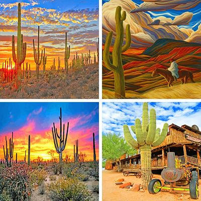 Arizona paint by Numbers   