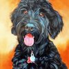 Black Poodle paint by numbers