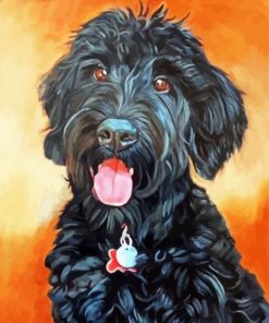 Black Poodle paint by numbers
