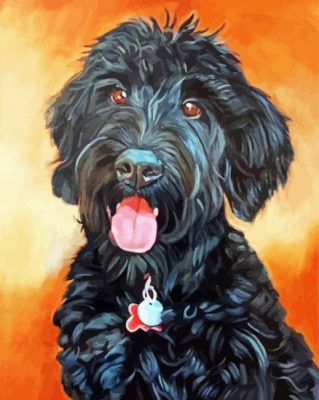 Black Poodle  paint by numbers