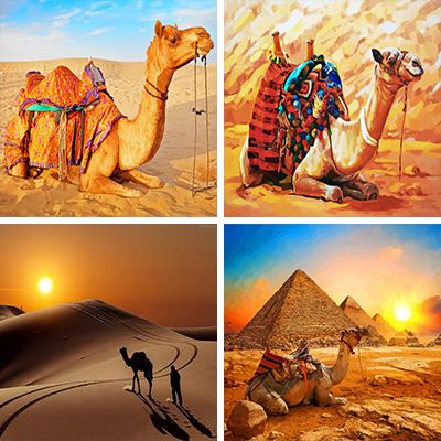 Camels painting by Numbers