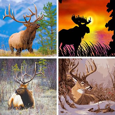 Elk paint by Numbers