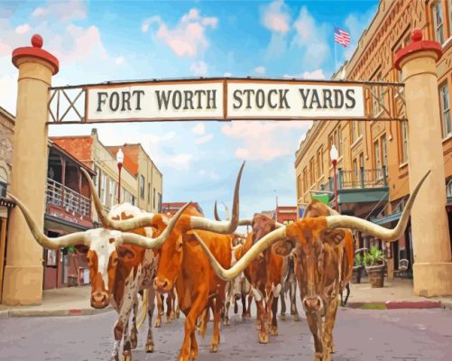 Fort Worth Texas paint by numbers