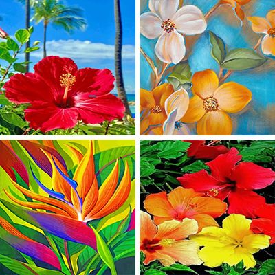 Hawaiian Flowers paint by Numbers