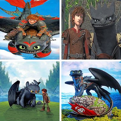 How to Train Your Dragon Painting  by Numbers