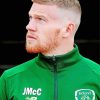 James McClean paint by numbers