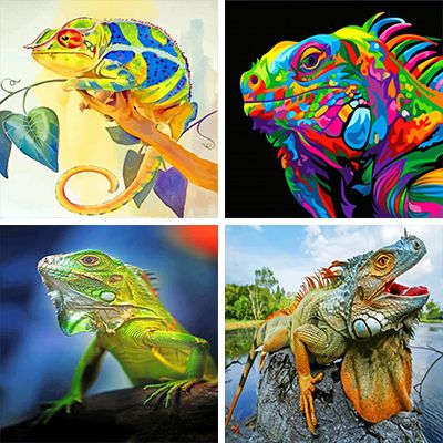 Lizards painting by Numbers   
