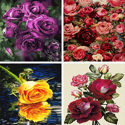 rose  paining  by Numbers   