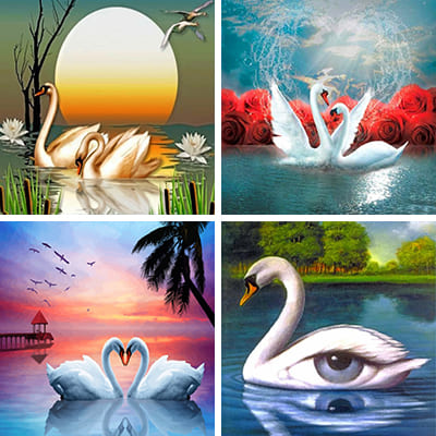 Swans Painting by Numbers