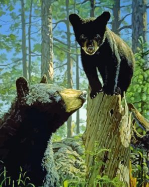 Black Bear And Cub paint by numbers