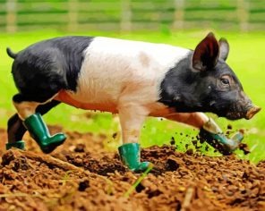 Aesthetic Pig Wearing Boots paint by numbers