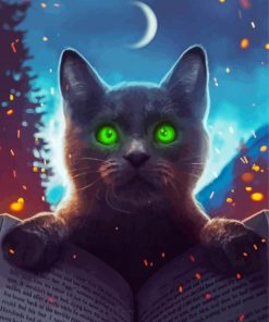 Black Magical Cat paint by numbers