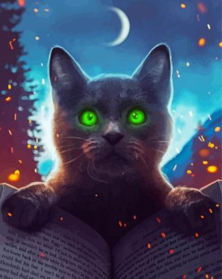 Black Magical Cat paint by numbers