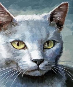 Aesthetic Grey White Cat paint by numbers